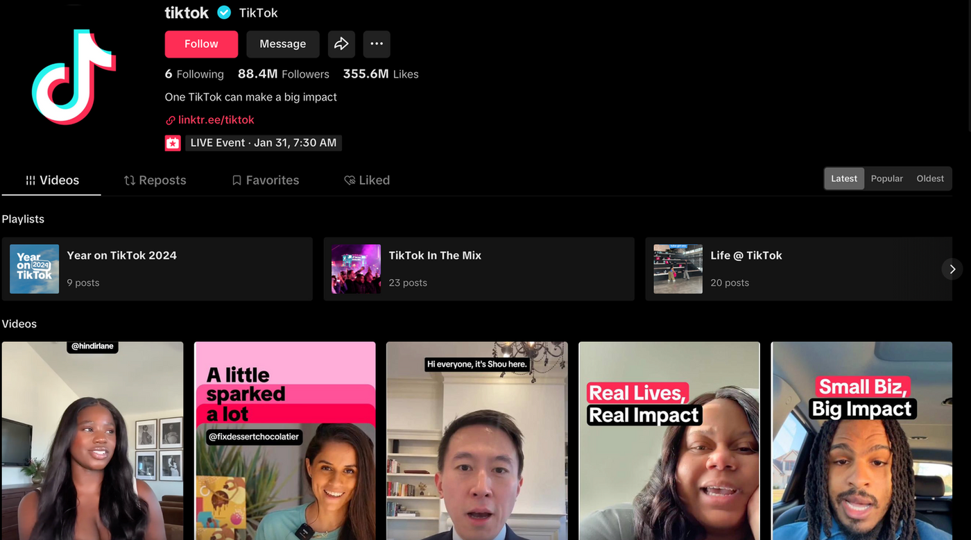 A picture of a TikTok account